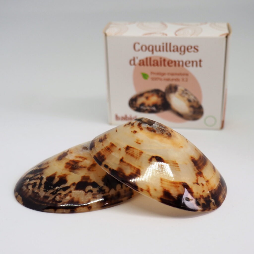 Coquillages d’allaitement - Babig