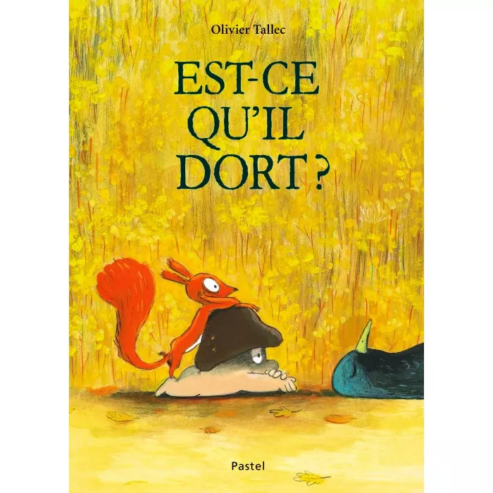 Livre « Es ce qu’il dort » d’Olivier Tallec - Moulin roty