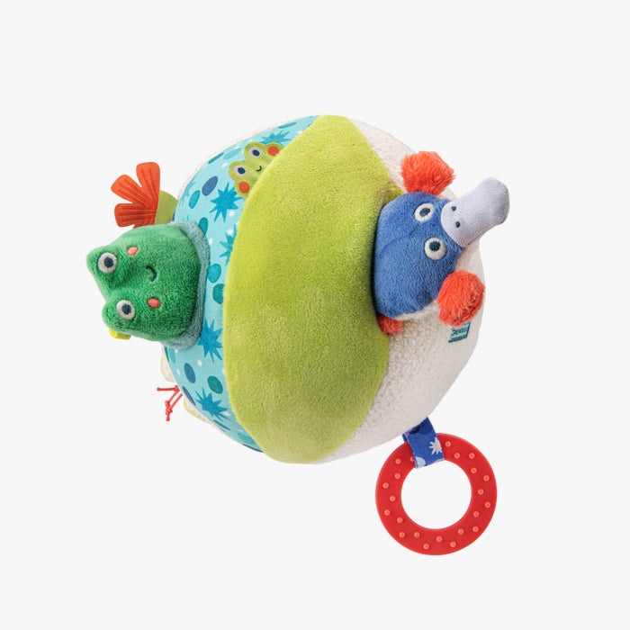 Balle d’activités la marre aux grenouille - Moulin roty