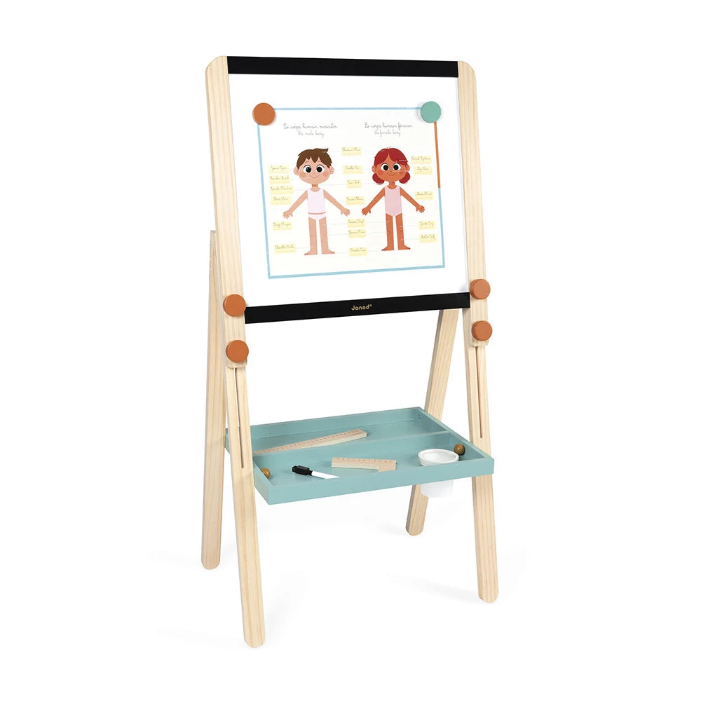 Tableau de la maîtresse réglable en bois - Janod