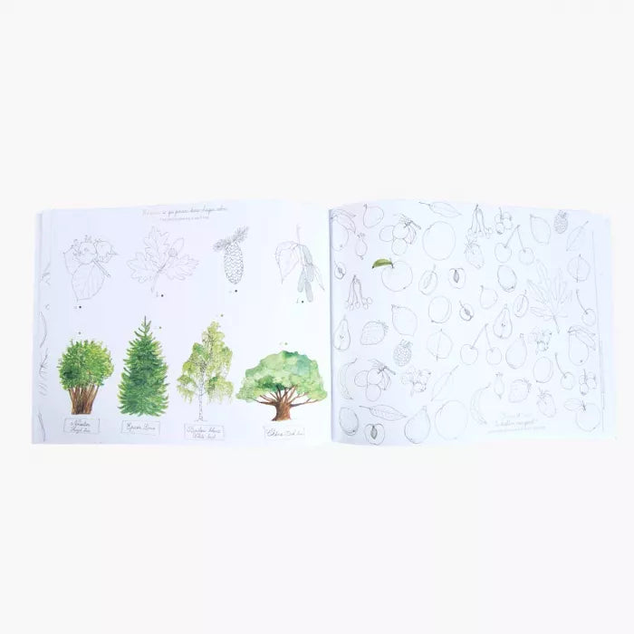 Cahier d'activités dans mon jardin - Moulin roty