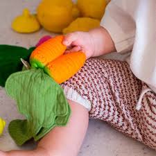Cathy la Carotte mini doudou teether - Oli&Carol