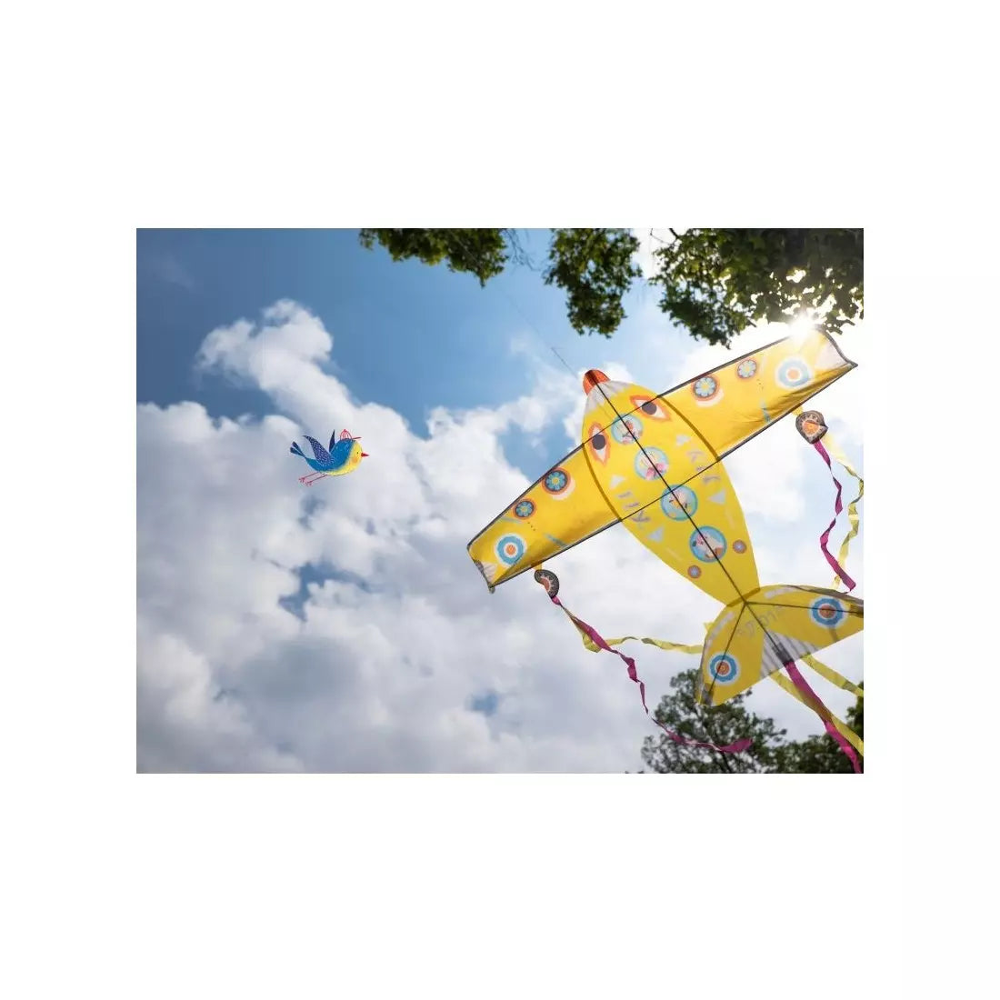 Grand cerf volant plane - Djeco