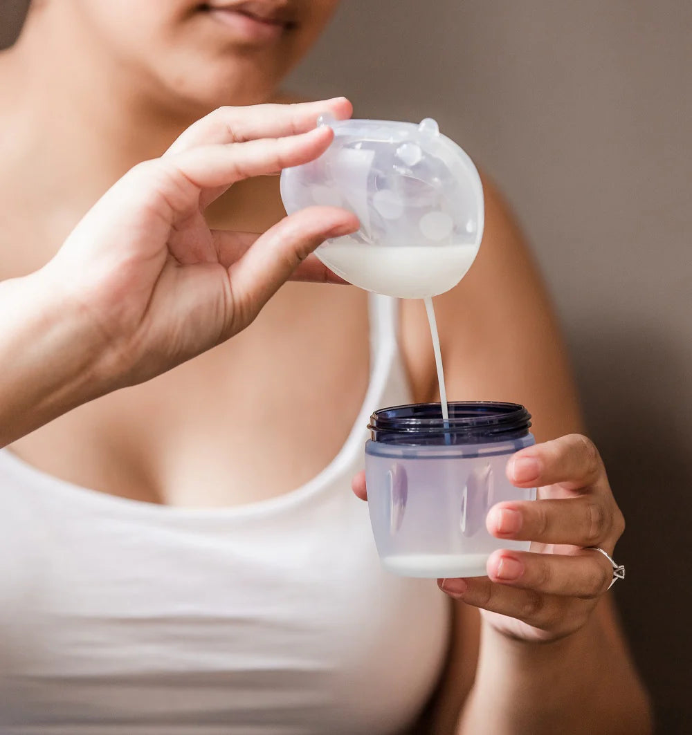 Coccinelle collecteur de lait maternelle ladybug - Haakaa