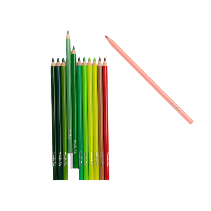 Crayons de couleurs + 3 cartes nature - Moulin roty