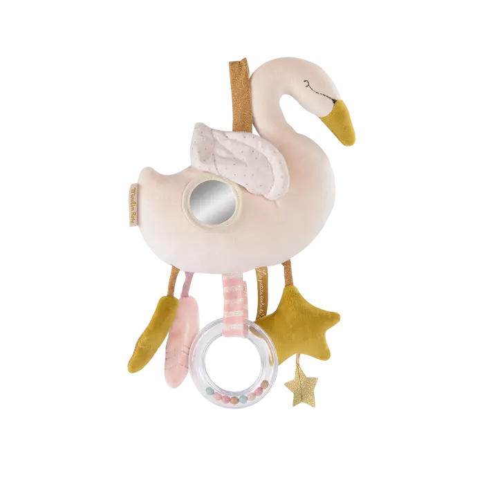 Cygne d'activité la petite école de danse - Moulin Roty