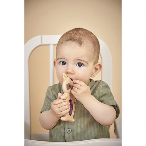 Duo de dentition et réfrigérant raton laveur - Kaloo