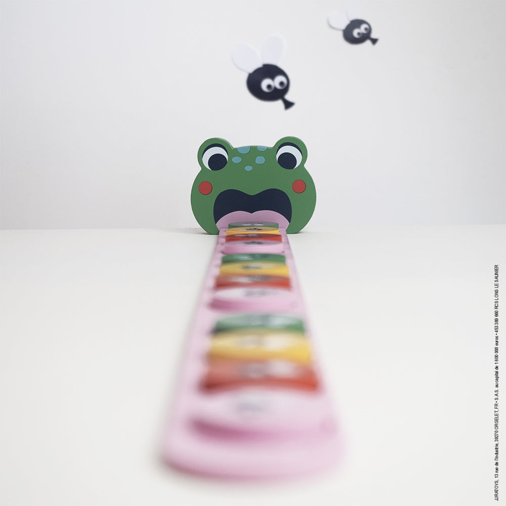 Algorithme la grenouille pédagogique - Janod