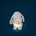 Lapin lumineux Puce & Pilou - Moulin roty