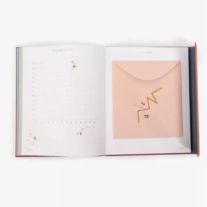 Livre de naissance après la pluie - Moulin roty