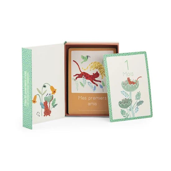 Cartes étapes mes 12 premières fois La forêt de mawa - Moulin roty