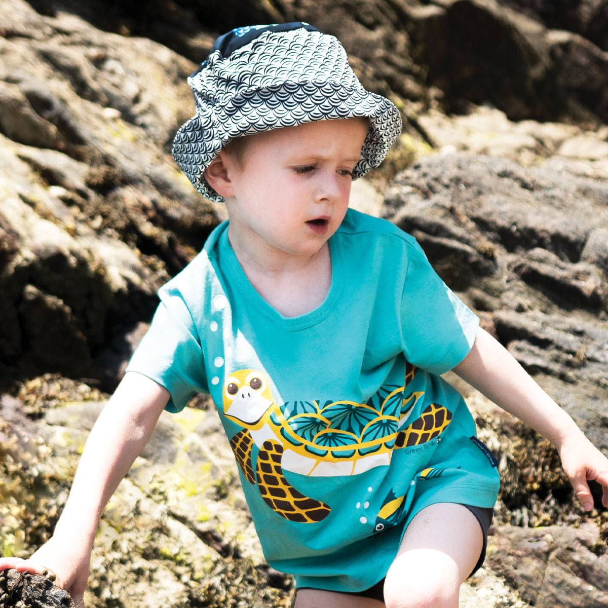 T-shirt manches courtes Tortue - Coq en pâte