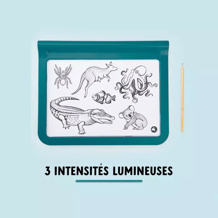 Tablette lumineuse Kidiwolf - Djeco